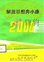 解放思想奔小康（1993.07 PDF版）