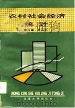 农村社会经济统计   1991  PDF电子版封面  7563004459  朱从华主编 