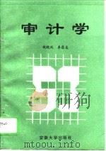 审计学   1995  PDF电子版封面  7810520059  钱晓风，李昌龙主编 