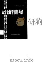 大企业经营机制再造   1988  PDF电子版封面  753641272X  陈永忠，郭健 
