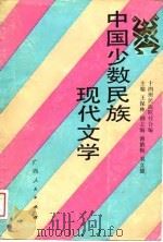 中国少数民族现代文学   1989  PDF电子版封面  7219012004  王保林等编 