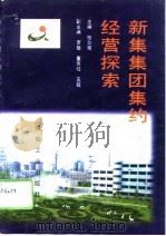 新集集团集约经营探索   1996  PDF电子版封面  7502013725  陆剑南主编 