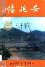 西安文史资料  第17辑  忆廷安专辑（1991年06月第1版 PDF版）