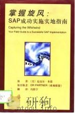掌握旋风 SAP成功实施实地指南（1999 PDF版）