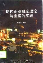 现代企业制度理论与宝钢的实践   1995  PDF电子版封面  7010022674  刘金龙编著 