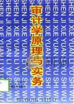 审计学原理与实务   1998  PDF电子版封面  7311012252  王志伟著 