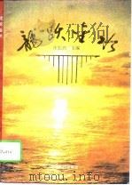 龙跃金水  合阳经济发展基础、现状和战略展望（1995 PDF版）