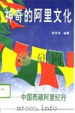 神奇的阿里文化  中国西藏阿里纪行   1995  PDF电子版封面  7225010832  杨年华编著 