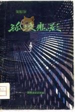 孤坟鬼影   1981  PDF电子版封面    高歌著 