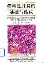 病毒性肝炎的基础与临床   1994  PDF电子版封面  7535715656  张铮，郑宣鹤主编 