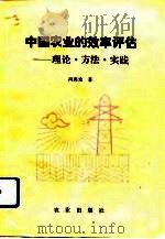 中国农业的效率评估  理论·方法·实践（1992 PDF版）