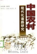 中国农村现代化道路研究   1998  PDF电子版封面  7219038208  陆学艺，王春光，张其仔著 