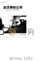 武汉钢铁公司   1988  PDF电子版封面  750150282X  毕传淑主编 