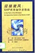 迎接旋风 SAP世界初学者指南（1999 PDF版）
