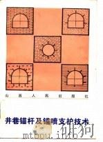 井巷锚杆及锚喷支护技术（1984 PDF版）