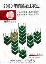 2000年的黑龙江农业   1991  PDF电子版封面  7531610558  林翊华编著 