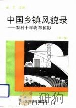 中国乡镇面貌录  农村十年改革掠影  第1辑   1991  PDF电子版封面  7800911268  张艺主编 