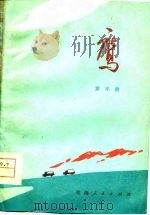 鹰   1977  PDF电子版封面    窦孝鹏著 