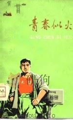 青春似火   1975  PDF电子版封面    南开大学中文系编 