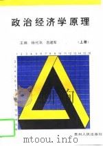 政治经济学原理  上   1996  PDF电子版封面  7221043744  杨代玖，吕建军主编 