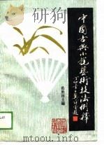 中国古典小说艺术技法例外释（1989 PDF版）
