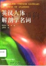 英汉人体解剖学名词（1997 PDF版）
