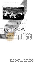 连云港在腾飞   1985  PDF电子版封面  17193·0534  龚来宝等编著 