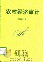 农村经济审计（1995 PDF版）