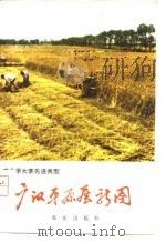 农业学大寨先进典型  广汉平原展新图   1976  PDF电子版封面    蜀原 