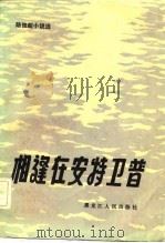 相逢在安特卫普   1984  PDF电子版封面    陆俊超著 