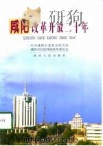 咸阳改革开放二十年（1998 PDF版）