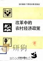 改革中的农村经济政策   1991  PDF电子版封面  7805762279  刘洪礼主编 