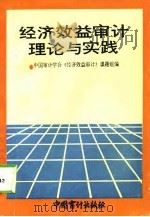 经济效益审计理论与实践   1993  PDF电子版封面  7800642690  中国审计学会经济效益审计课题组编 