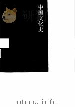 中国文化史  上下   1988  PDF电子版封面  7500004737  柳诒征编著 