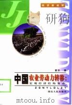 中国农业劳动力转移  宏观经济结构变动   1999  PDF电子版封面  7216025679  曹阳著 
