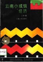 云南小城镇经济（1994 PDF版）