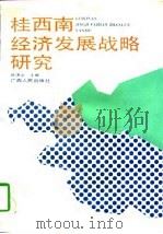 桂西南经济发展战略研究   1992  PDF电子版封面  7219019963  区济文主编 