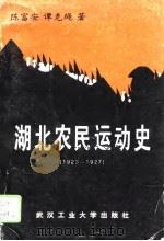 湖北农民运动史  1923-1927   1996  PDF电子版封面  7562911681  陈富安，谭克绳著 