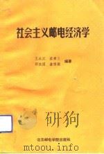 社会主义邮电经济学   1992  PDF电子版封面  7563501096  王永江等编著 