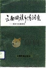 云南回族乡情调查  现状与发展研究（1992 PDF版）