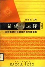 希望与选择  论民族地区县级经济的发展道路   1992  PDF电子版封面  7220016107  刘绍先主编 