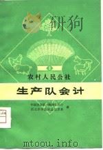 农村人民公社生产队会计（1980 PDF版）