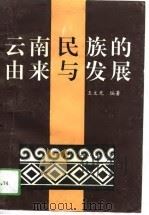 云南民族的由来与发展   1994  PDF电子版封面  7805252335  王文光编著 