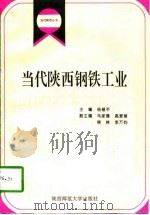 当代陕西钢铁工业   1996  PDF电子版封面  7561314779  杨锡平主编 