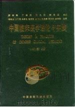 中国临床医学理论与实践  1991卷（1992 PDF版）