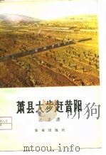 萧县大步赶昔阳（1976 PDF版）