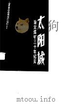 太阳城  淮北煤矿三十年纪实（1991 PDF版）