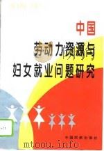 中国劳动力资源与妇女就业问题研究（1995 PDF版）