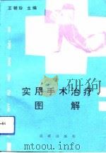 实用手术治疗图解   1990  PDF电子版封面  7805751307  王朝珍主编 