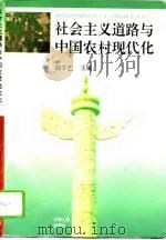 社会主义道路与中国农村现代化   1994  PDF电子版封面  7210013083  陆学艺主编 